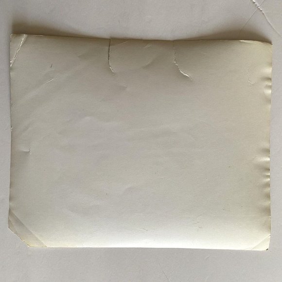 c1970 Original Grasshopper Black White Photograph Steven Willhite Glen Ellen IL - Picture 6 of 8